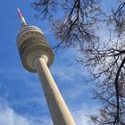 Ein großer, hoher Turm hat Glück den Baum zu genießen