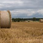 Ein Großer und viele Kleine