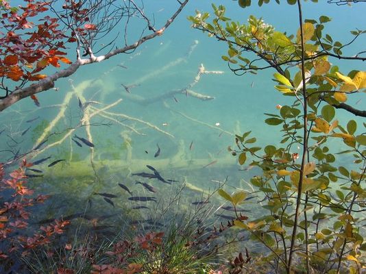 ein großes Aquarium