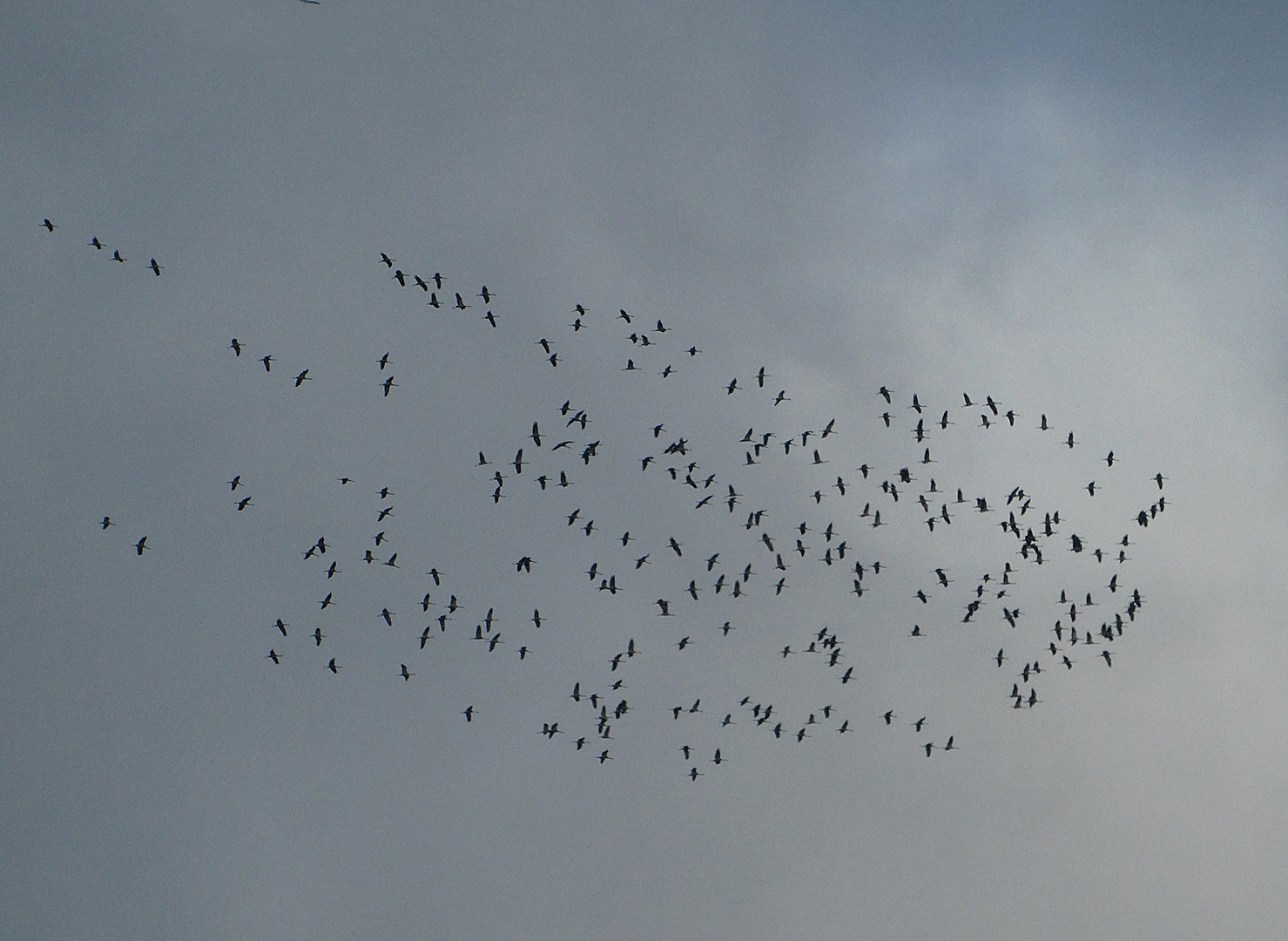 Ein großes Durcheinander am Himmel 