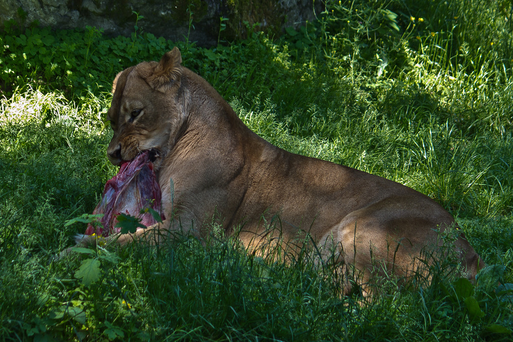 Ein grosses Stück by Jürgen Martin