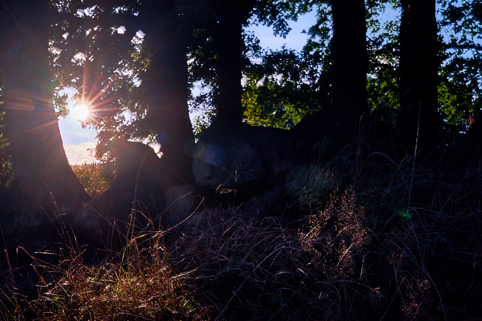 Ein Großsteingrab im Abendlicht