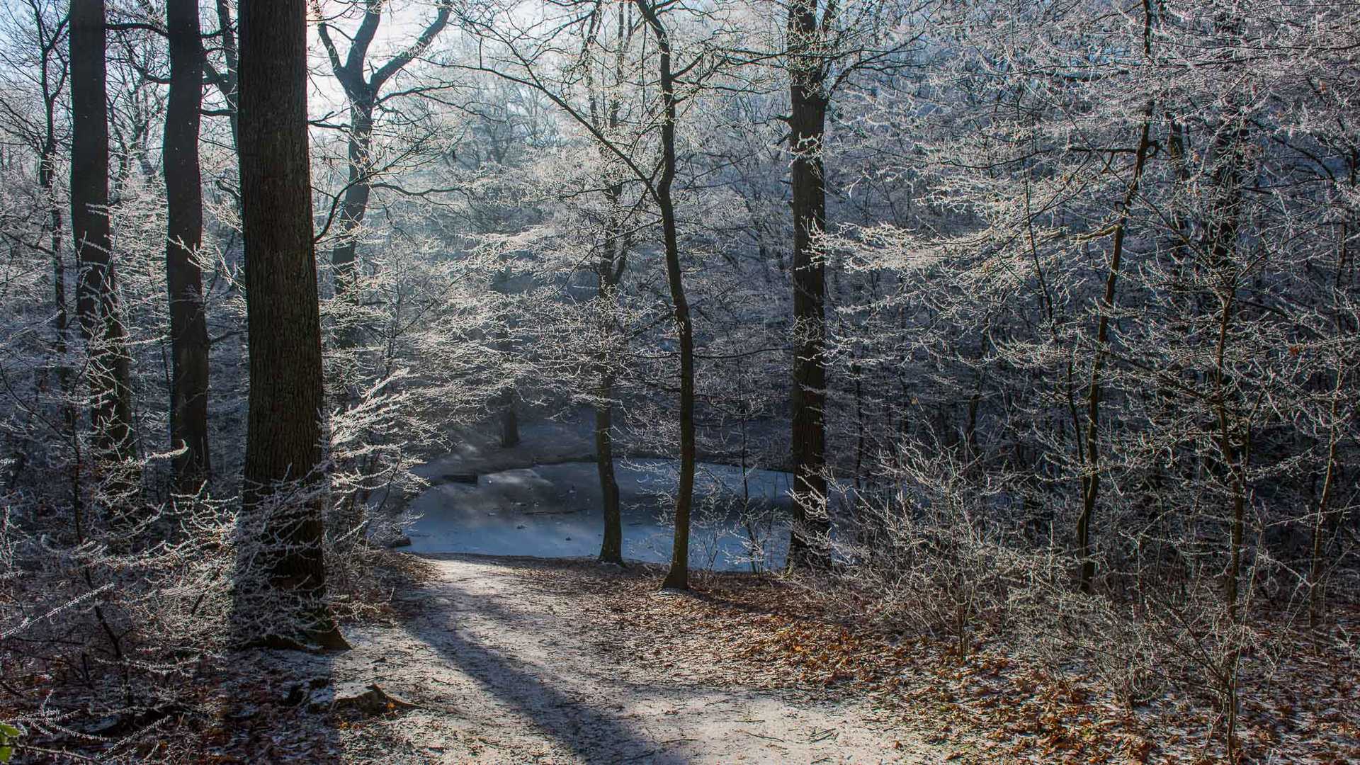 Ein grünes Blatt!