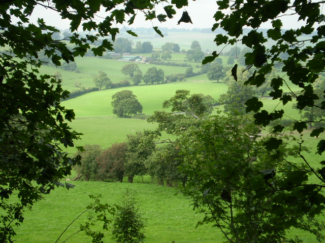 Ein grünes Fenster