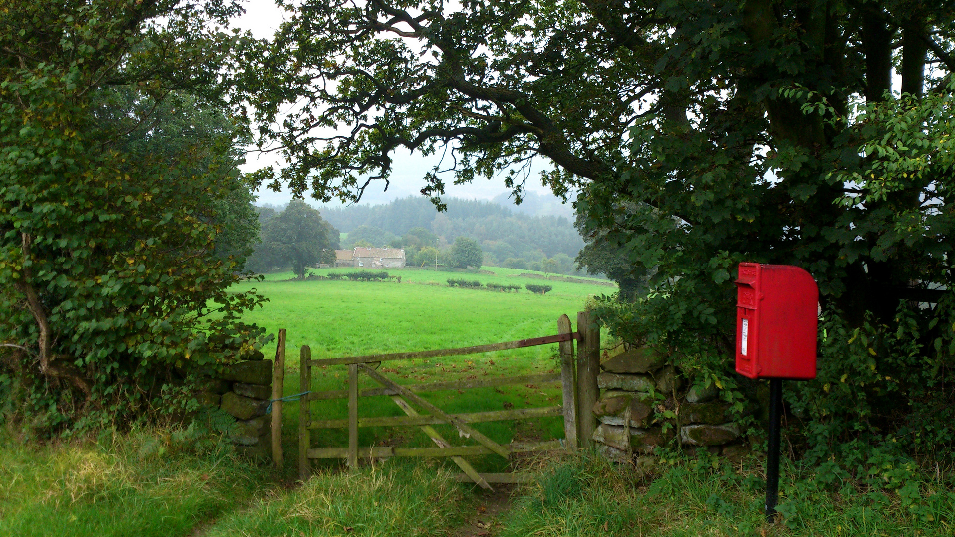 ein grünes Land