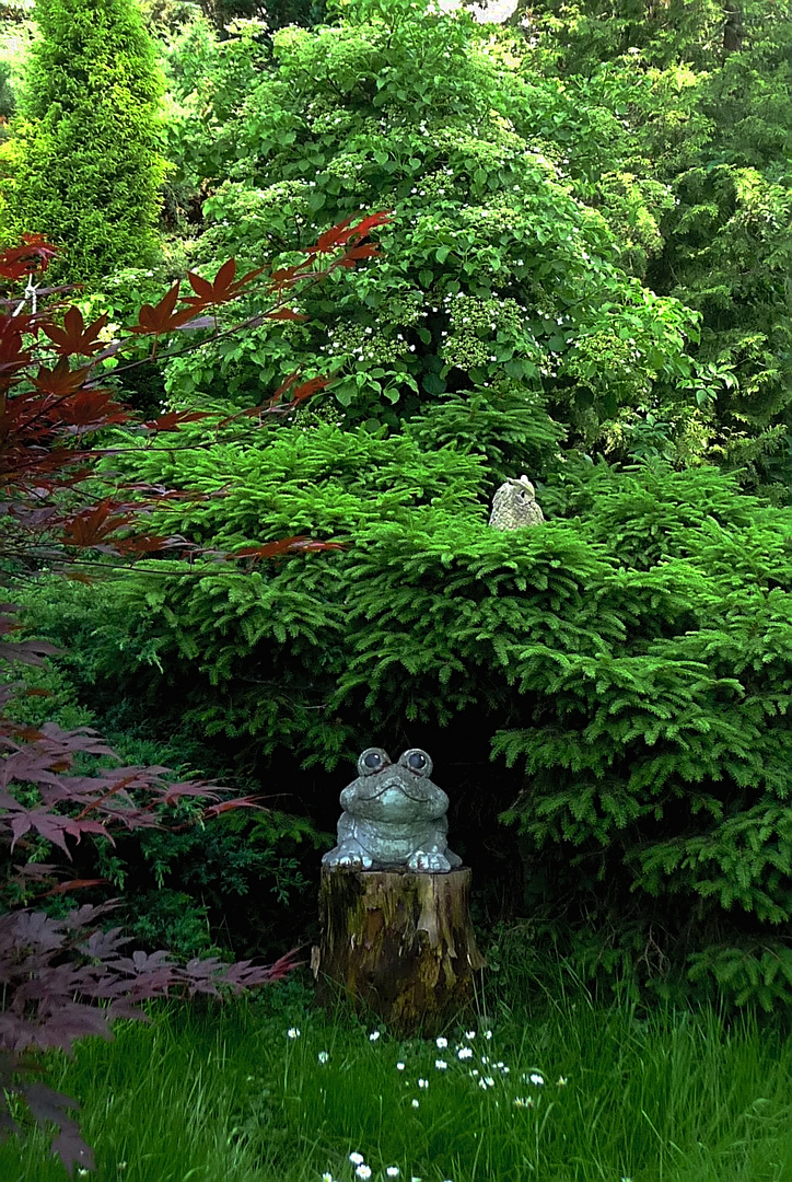 Ein Gruß aus dem Garten