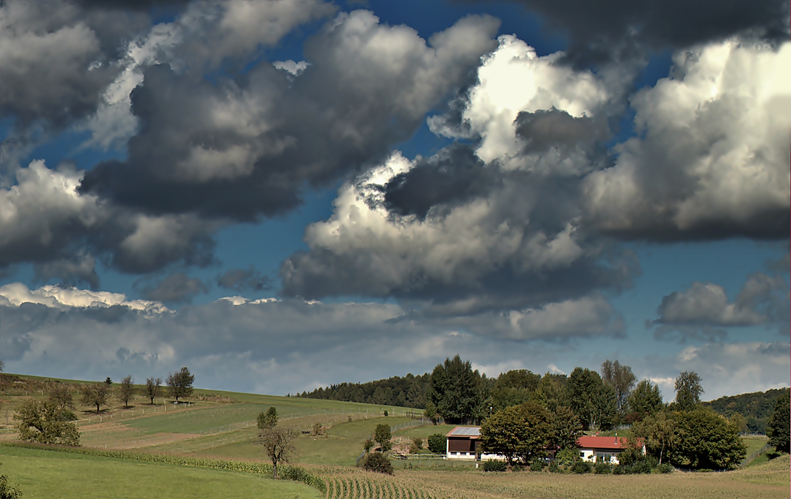 ~~~ Ein Gruss aus dem Markgräflerland ~~~