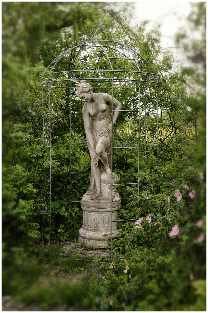 ein Gruß aus dem Rosarium