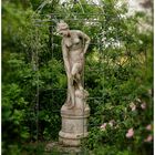 ein Gruß aus dem Rosarium