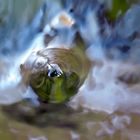 Ein Gruss aus der Tiefe des Kraters! (Foto 2) - La photographe vous salue du fond du cratère!