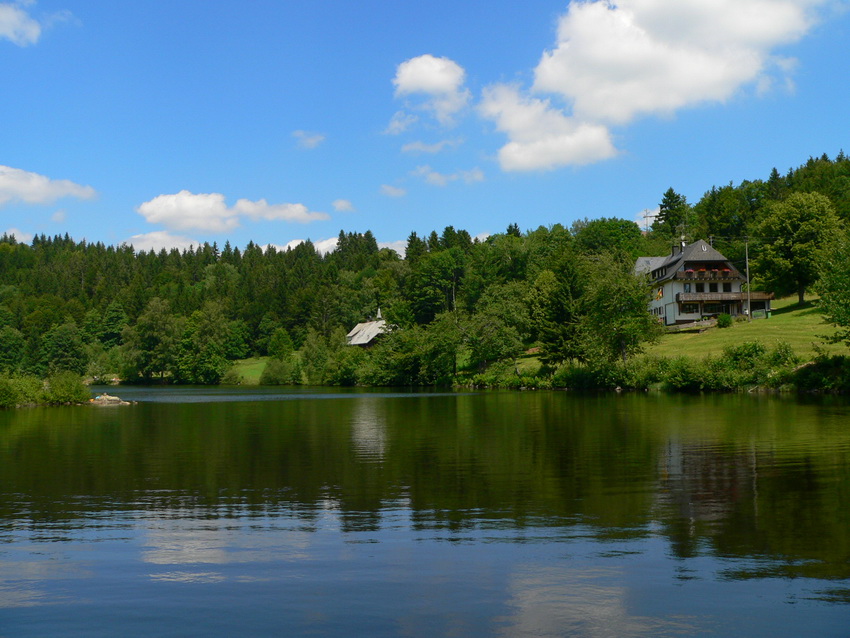 Ein Gruß vom Dachsberg