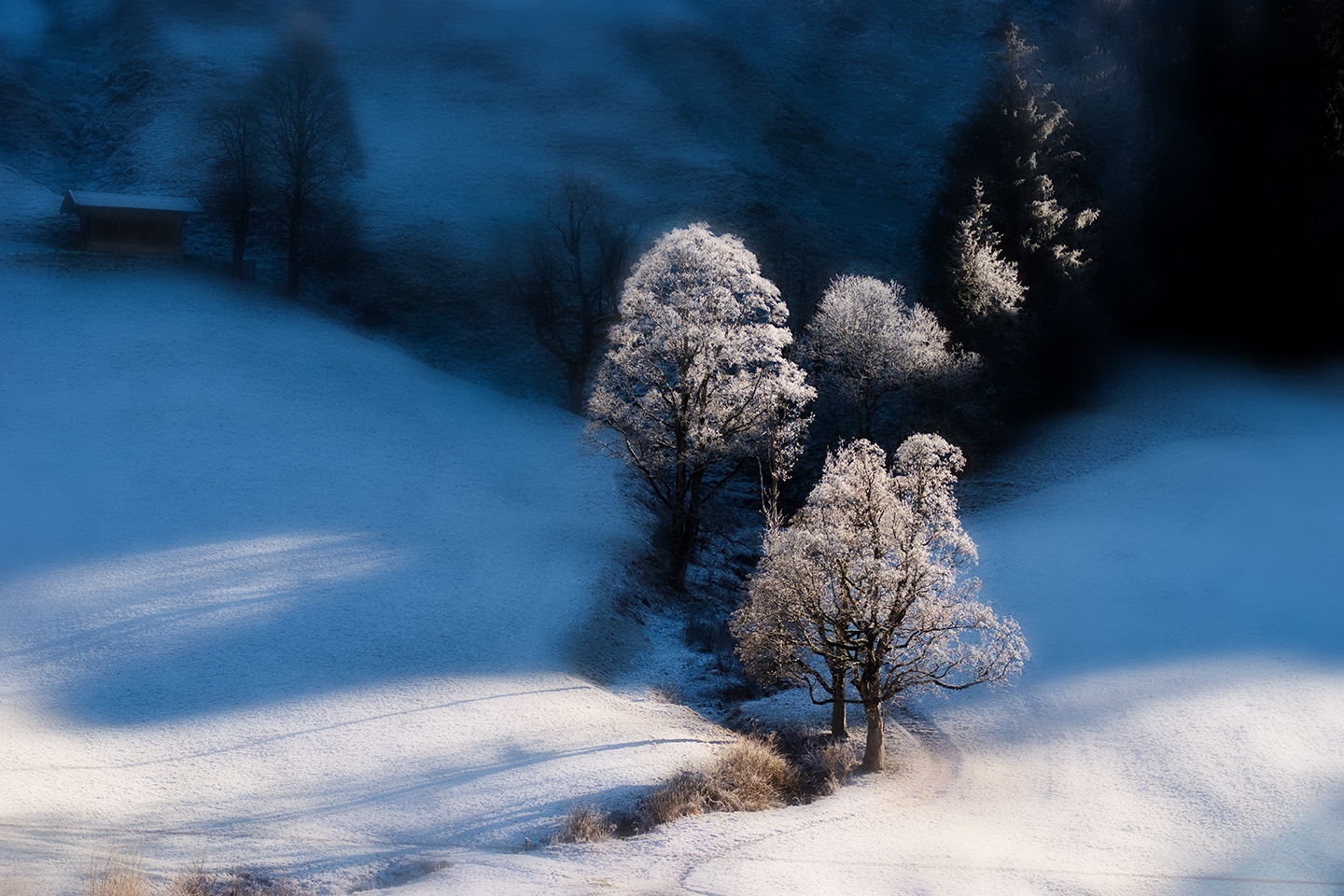 Ein Gruß vom Winter