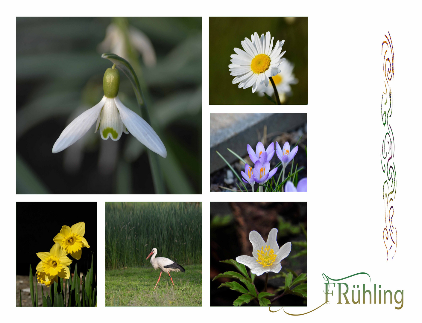 EIN GRUSS zum FRÜHLINGSBEGINN