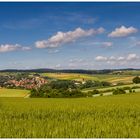 Ein Gruß zum Sommerbeginn