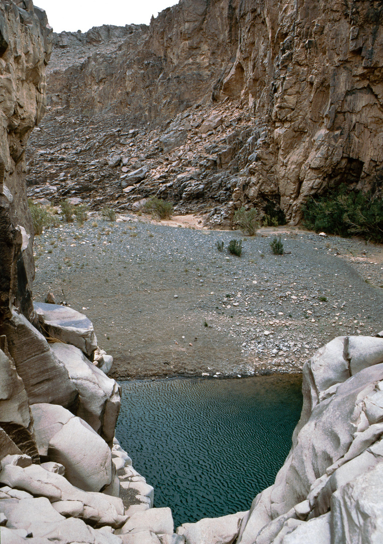 Ein Guelta in der Sahara