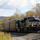 Ein Güterzug der Norfolk & Southern mit Enclosed Auto Carrier Cars kurz vor dem Gallitzin Tunnel