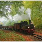 Ein Güterzug in der herbstlichen Granitz