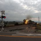 Ein Güterzug mit Getreidewagen nähert sich dem Bahnübergang mit Horn und Warnlichtern,USA