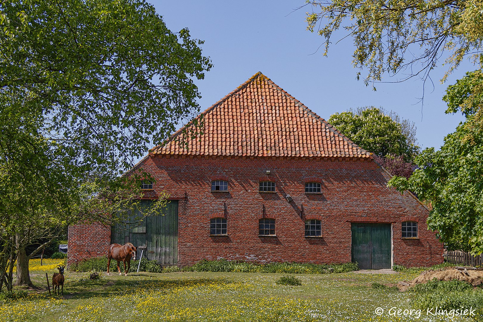 Ein Gulfhaus in Rysum 