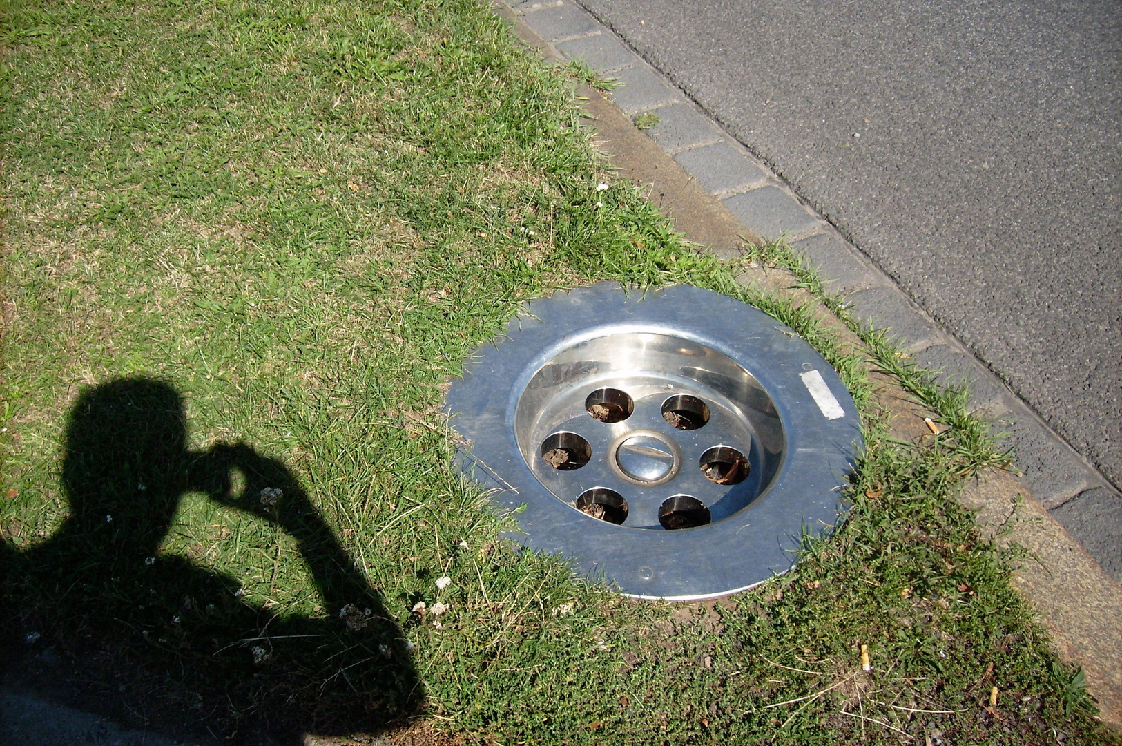 Ein Gulli in Dresden Foto & Bild deutschland, europe, sachsen Bilder