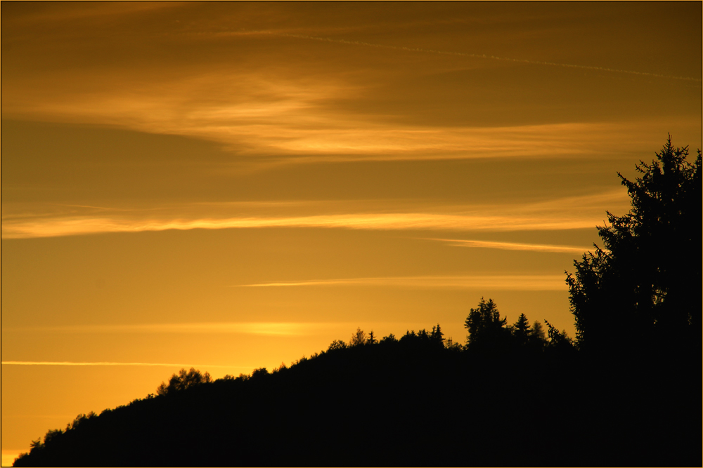 EIN GUTE-NACHT-BILD