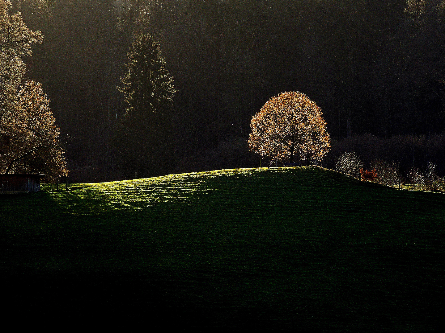 Ein Gutenacht Kuss der Sonne