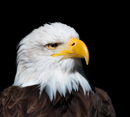 Ein guter Bekannter...