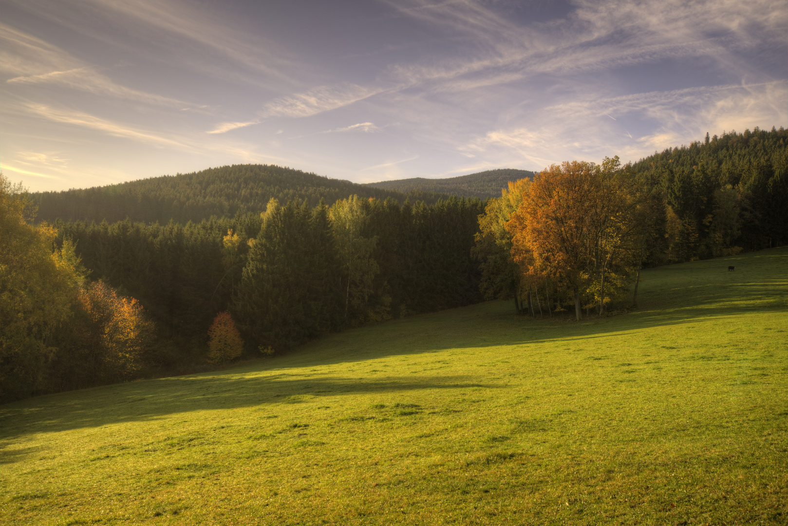 Ein guter Morgen