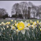 Ein guter Tag für einen Frühlingsspaziergang