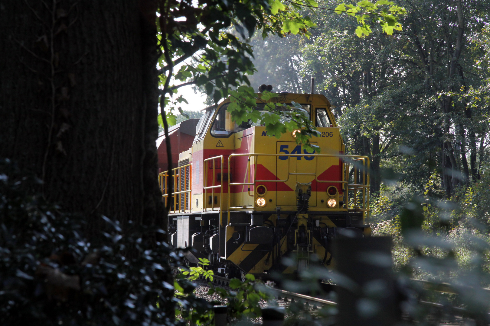 Ein guter Zug. - Ich glaub, ich steh' im Wald.