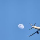 Ein gutes Gefühl mit Lufthansa zu fliegen