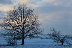 Ein gutes neues Jahr 2019