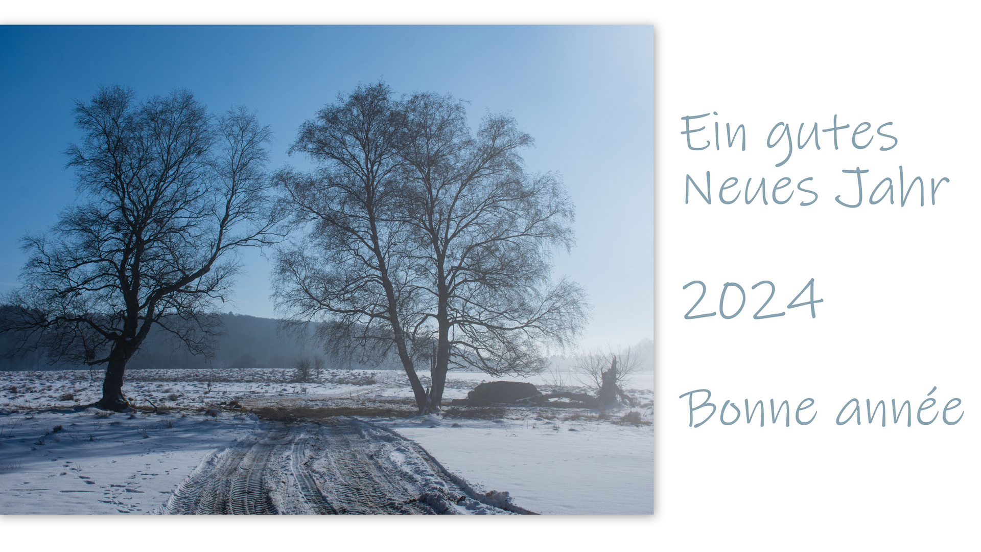 Ein gutes Neues Jahr - Bonne année