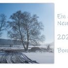 Ein gutes Neues Jahr - Bonne année