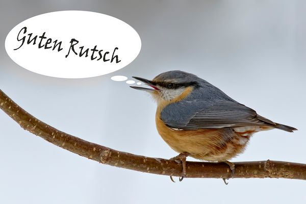 Ein gutes und gesundes Jahr 2014