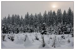 Ein gutes und vor allem gesundes neues Jahr ...