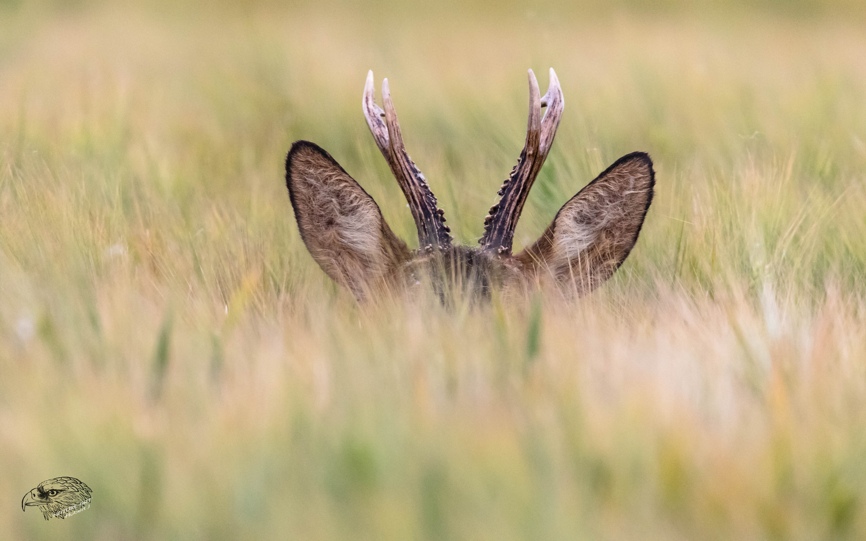 Ein gutes Versteck