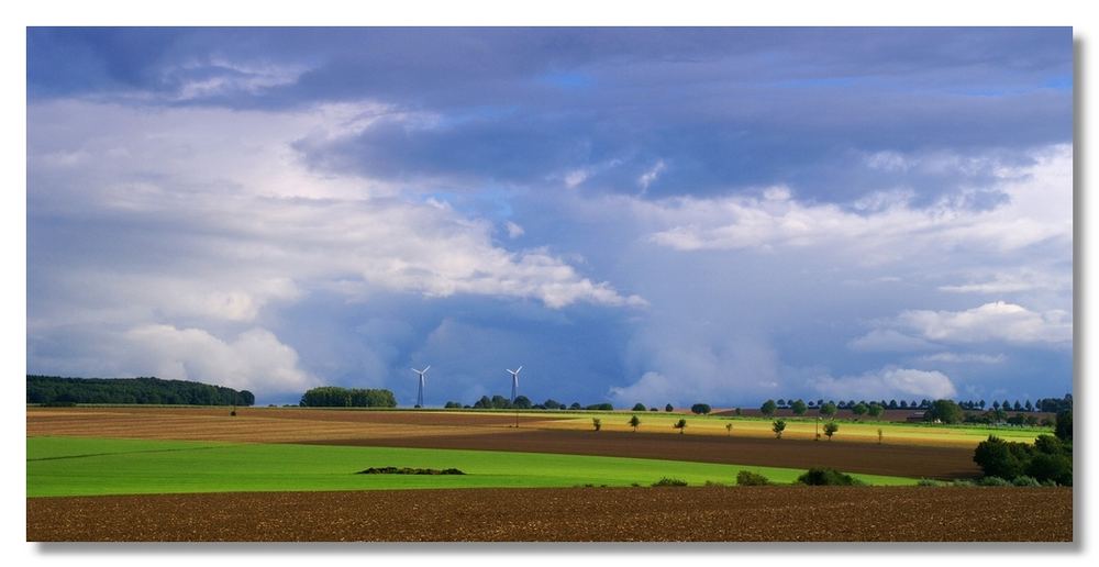 Ein "haarscharfer" Blick ...