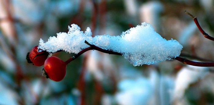 ein häufchen schnee