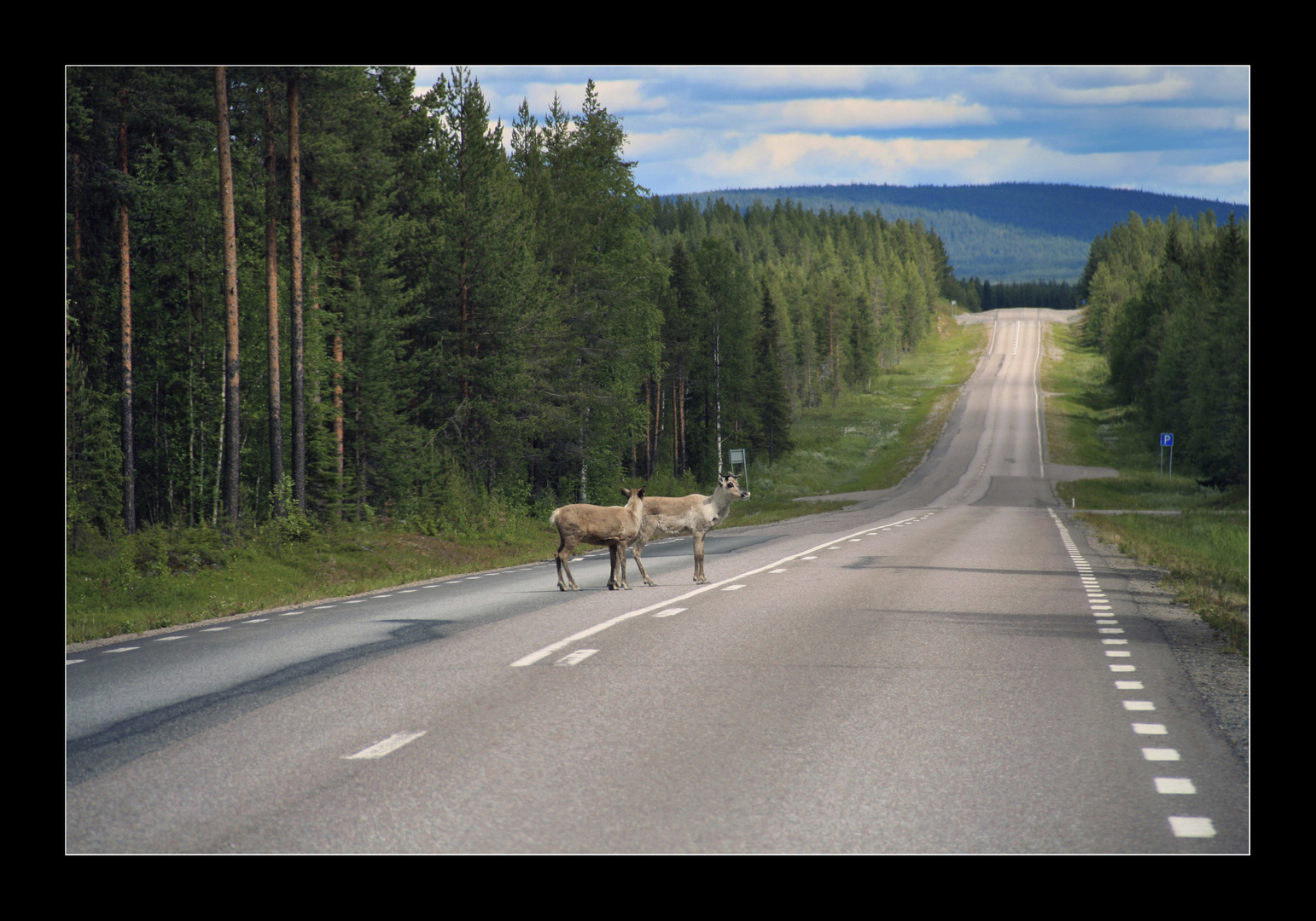 Ein häufiges Bild in schwedens Norden.