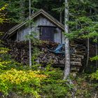 Ein Häuschen ganz alleine im Wald