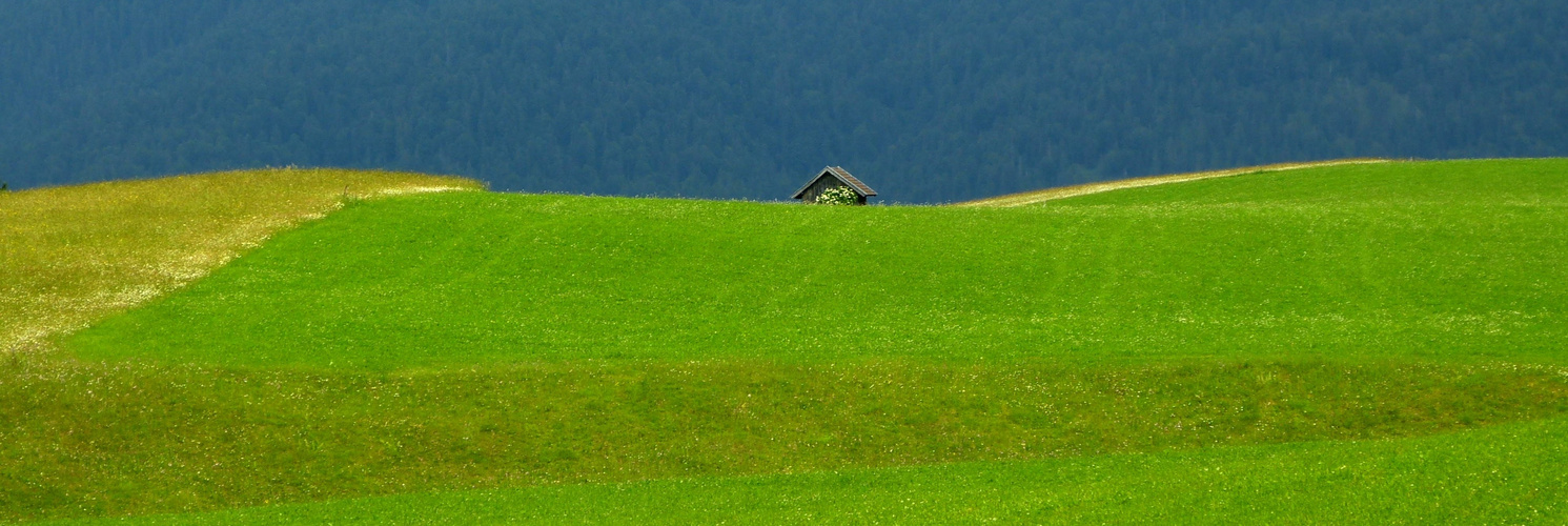 Ein Häuschen im Grünen