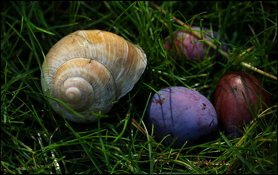 Ein Häuschen im Grünen ...