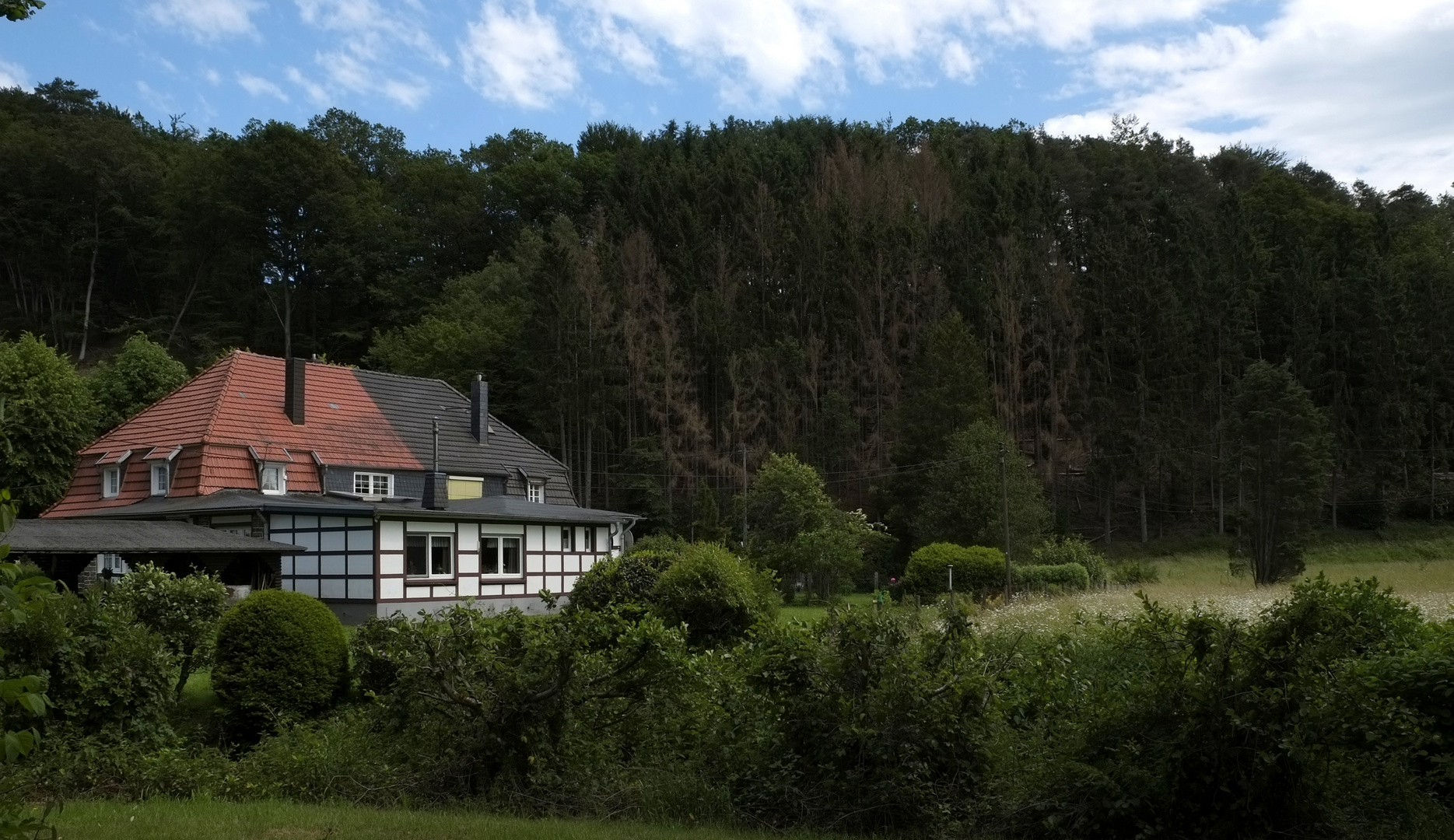 ein Häuschen im Grünen