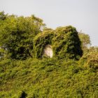 ein Haeuschen im Gruenen...