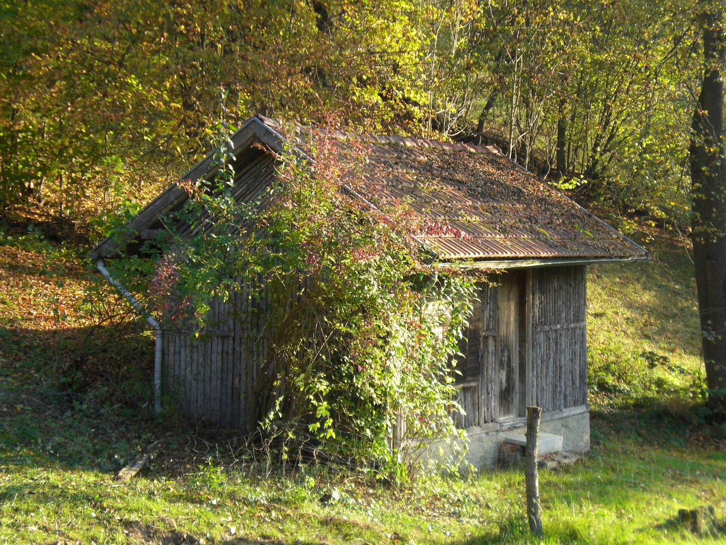 Ein Häuschen im Herbst