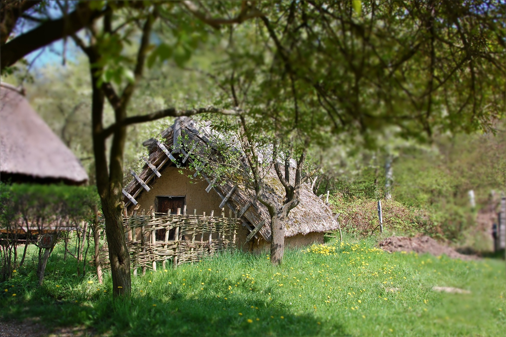 Ein Häuschen mit Garten Foto & Bild sommer, natur, garten Bilder
