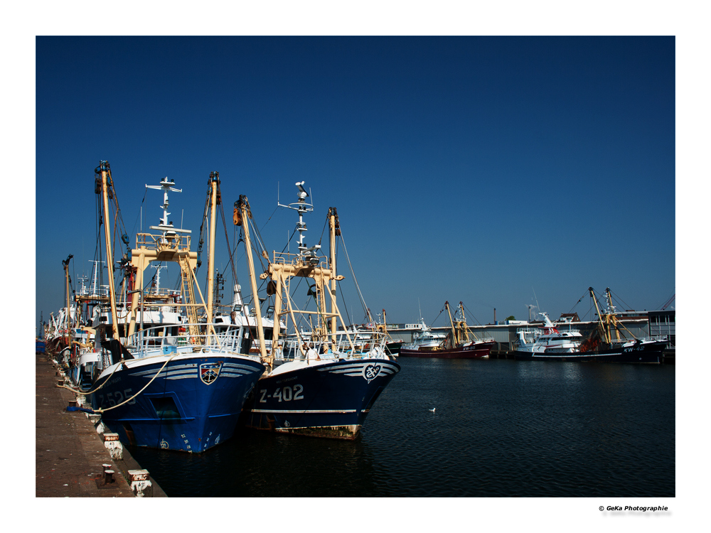 ein Hafen voller Fischkutter