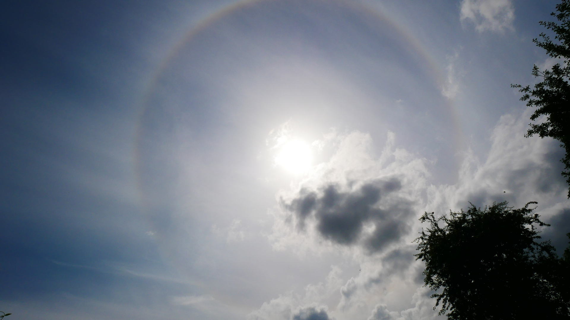 Ein "Halo" am Himmel in Schleswig-Holstein