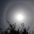 Ein Halo ... gestern am Himmel ...